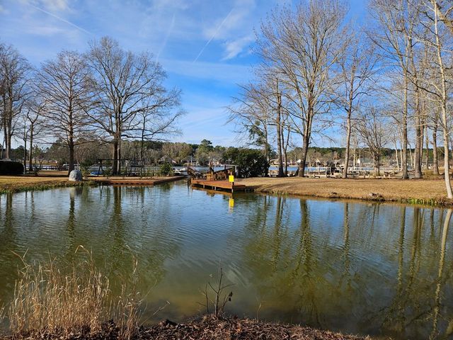 47 N Lake Circle, Manning, SC 29102