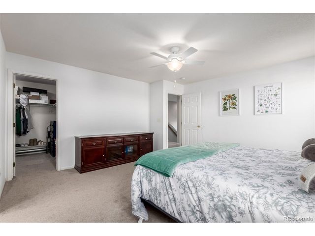 6193 Brantly Ave, Castle Rock, CO 80104
