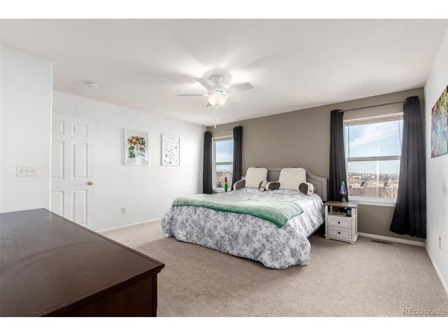 6193 Brantly Ave, Castle Rock, CO 80104