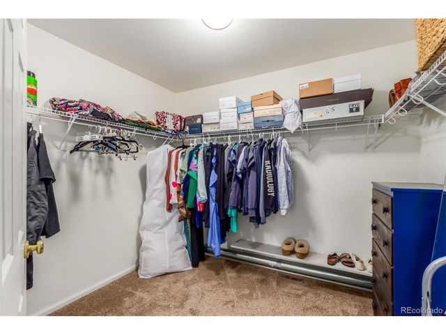 6193 Brantly Ave, Castle Rock, CO 80104