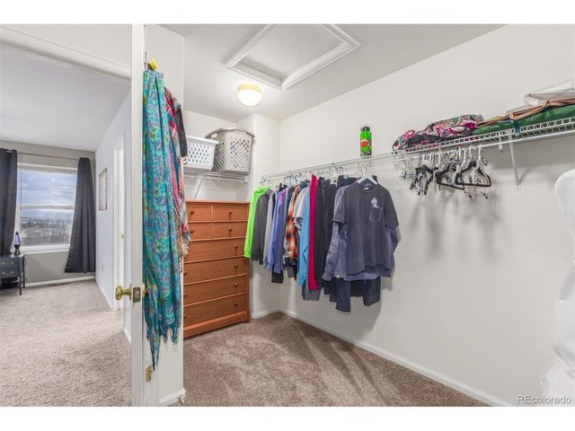 6193 Brantly Ave, Castle Rock, CO 80104