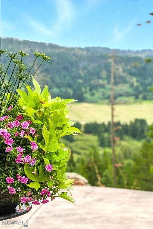 11310 Taiga Trail, Bozeman, MT 59715 photo 29