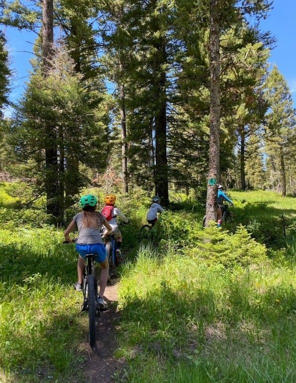 11310 Taiga Trail, Bozeman, MT 59715 photo 80