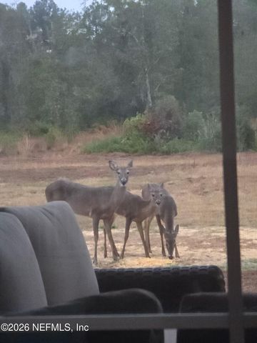 5012 LAUREL Street, Middleburg, FL 32068