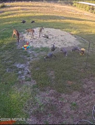 5012 LAUREL Street, Middleburg, FL 32068