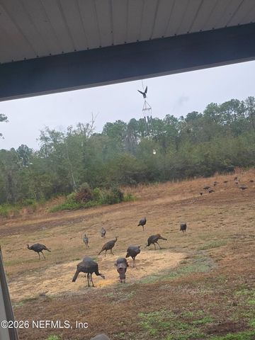 5012 LAUREL Street, Middleburg, FL 32068