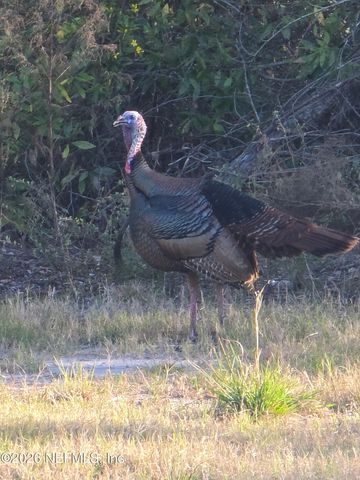 5012 LAUREL Street, Middleburg, FL 32068