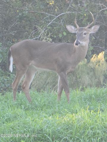 5012 LAUREL Street, Middleburg, FL 32068