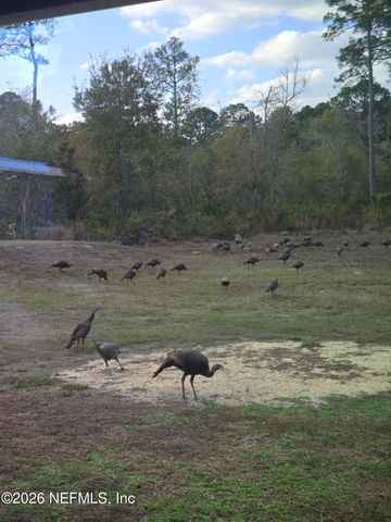 5012 LAUREL Street, Middleburg, FL 32068