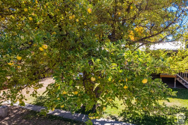 990 W 1100 S, Vernal, UT 84078