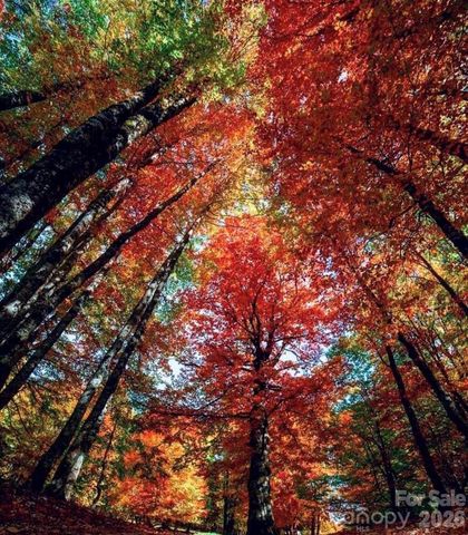 30 Red Oak Forest Road, Fairview, NC 28730