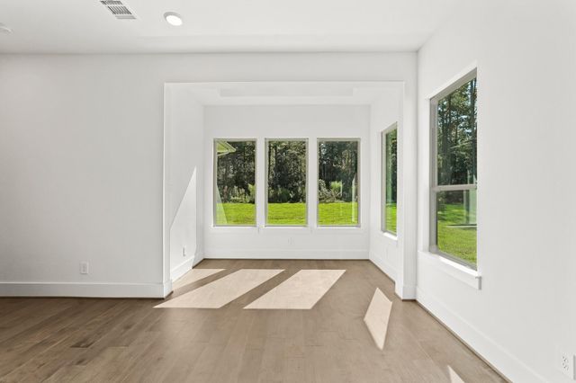 24919 Balmorhea Way, Montgomery, TX 77316