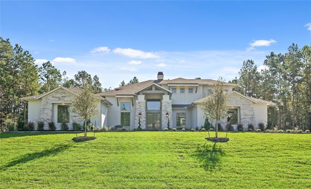 24919 Balmorhea Way, Montgomery, TX 77316