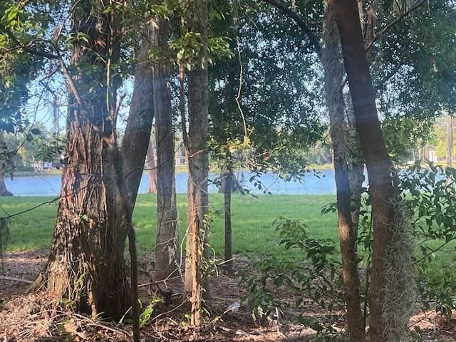 16406 LAKE BYRD DRIVE, Tampa, FL 33618