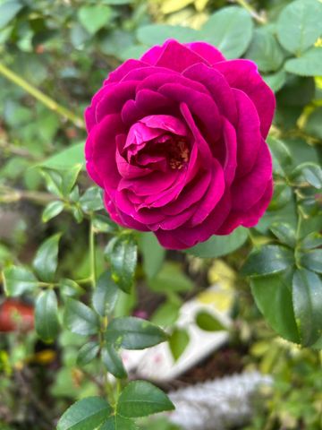 6220 Kelty Way, Lake Worth, FL 33467