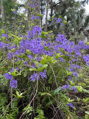 6220 Kelty Way, Lake Worth, FL 33467