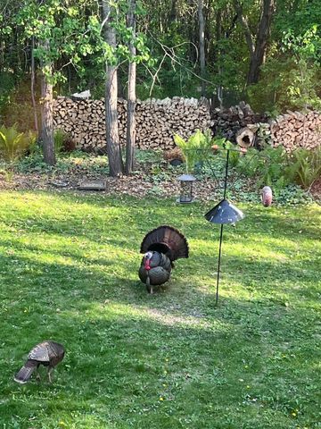 11020 181st Street W, Lakeville, MN 55044