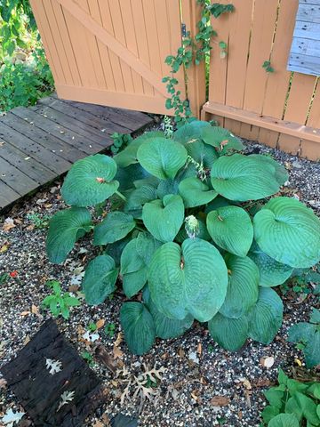 11020 181st Street W, Lakeville, MN 55044