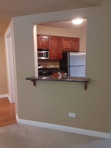 6675 S Cass Avenue 2A, Westmont, IL 60559