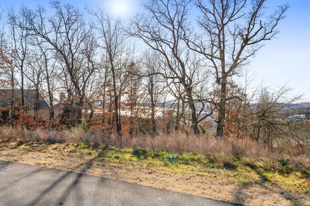 Lot 6 Gregory Lane, Branson, MO 65616