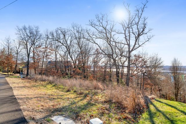 Lot 6 Gregory Lane, Branson, MO 65616
