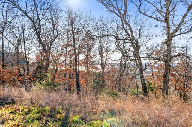 Lot 6 Gregory Lane, Branson, MO 65616