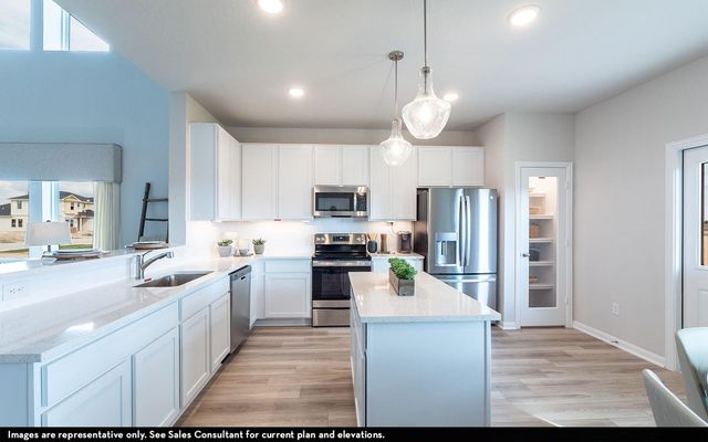 438 Hazy Meadows Drive, Beasley, TX 77417