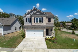 1136 Tanger Glen Trail NW, Harvest, AL 35749