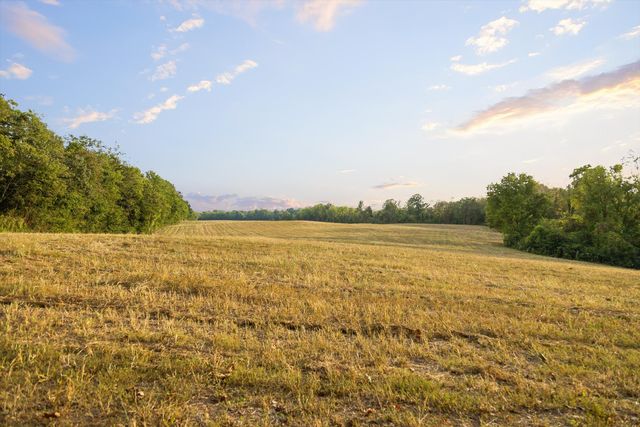 10 Sturgeon Creek Road, Cedar Hill, TN 37032