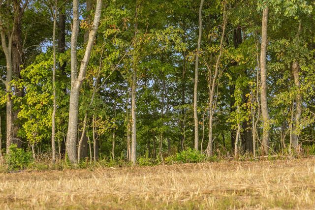 10 Sturgeon Creek Road, Cedar Hill, TN 37032