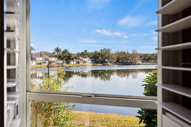 1743 LAKE HERON, Lutz, FL 33549