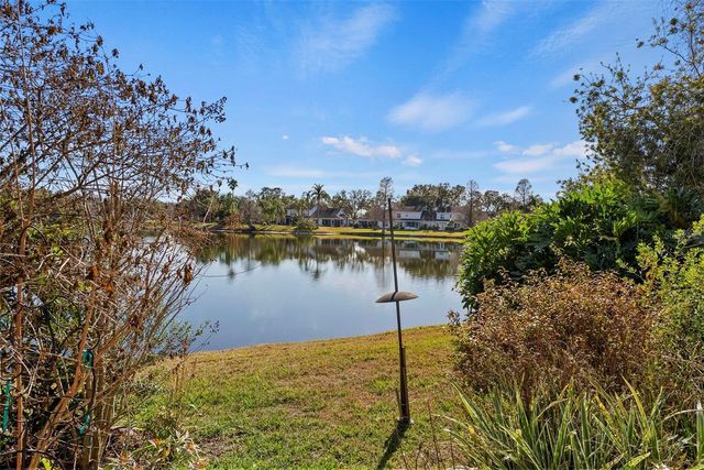 1743 LAKE HERON, Lutz, FL 33549