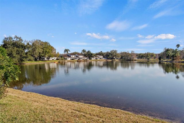 1743 LAKE HERON, Lutz, FL 33549