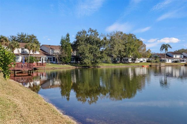 1743 LAKE HERON, Lutz, FL 33549
