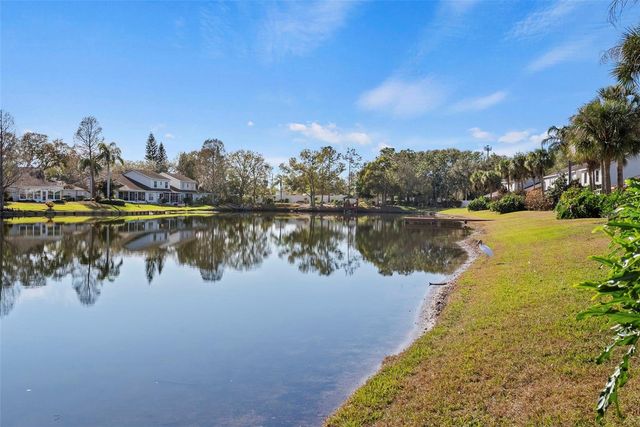 1743 LAKE HERON, Lutz, FL 33549