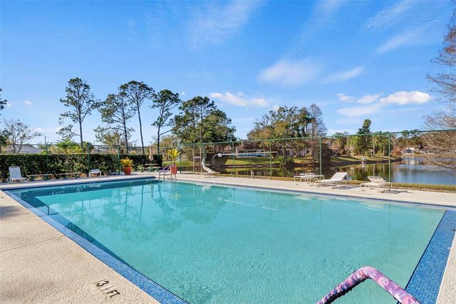 1743 LAKE HERON, Lutz, FL 33549