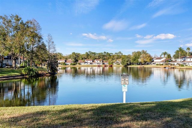 1743 LAKE HERON, Lutz, FL 33549