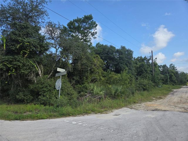 PINE STREET, Paisley, FL 32767