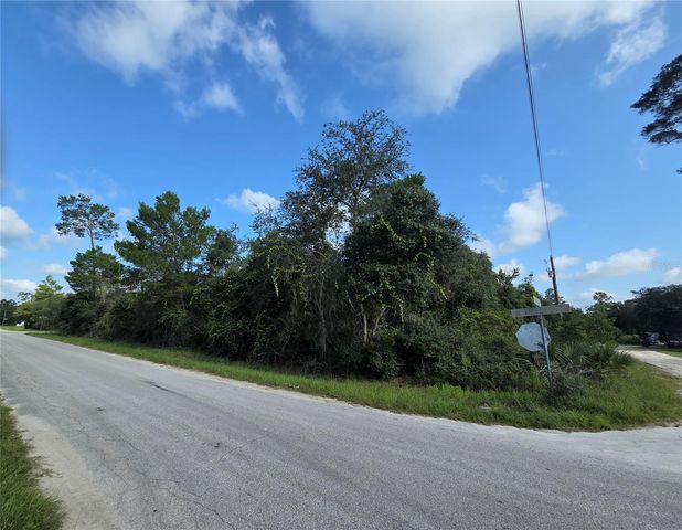 PINE STREET, Paisley, FL 32767