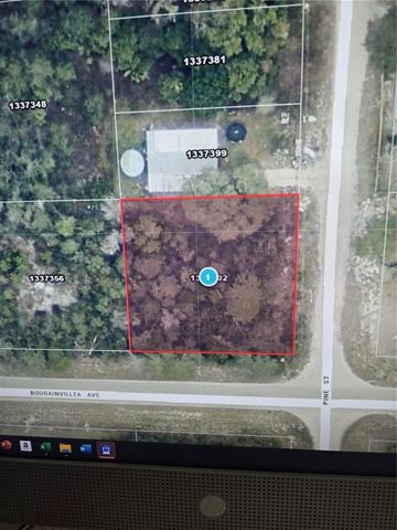 PINE STREET, Paisley, FL 32767