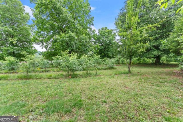 59 Rocket Drive, Cleveland, GA 30528