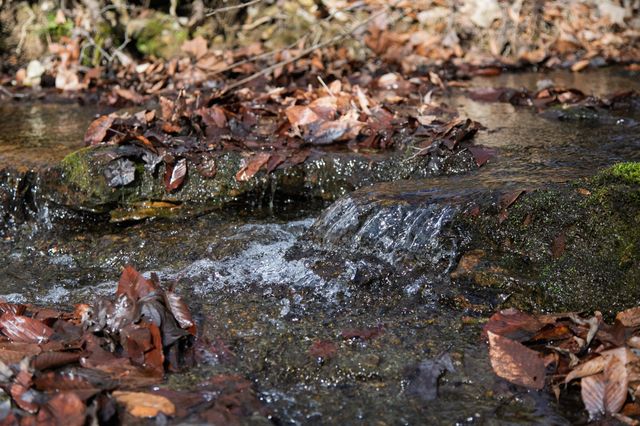 10001 Davis Branch Rd, Bon Aqua, TN 37025