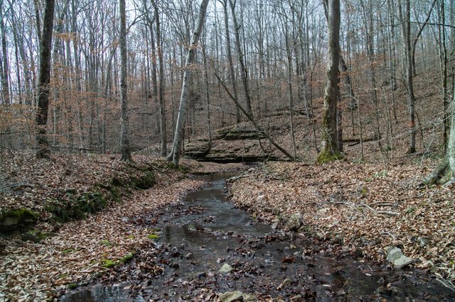 10001 Davis Branch Rd, Bon Aqua, TN 37025