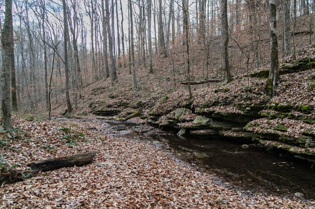 10001 Davis Branch Rd, Bon Aqua, TN 37025