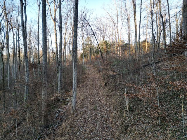 10001 Davis Branch Rd, Bon Aqua, TN 37025