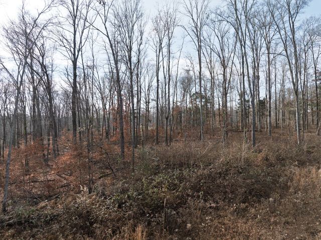 10001 Davis Branch Rd, Bon Aqua, TN 37025