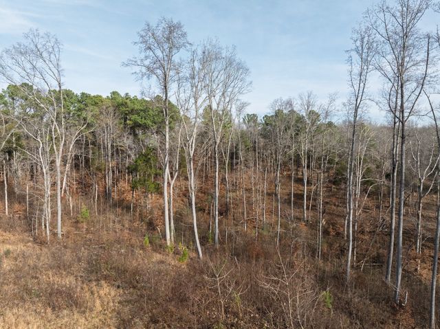 10001 Davis Branch Rd, Bon Aqua, TN 37025