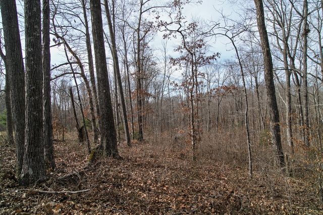 10001 Davis Branch Rd, Bon Aqua, TN 37025