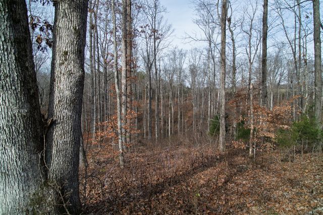 10001 Davis Branch Rd, Bon Aqua, TN 37025