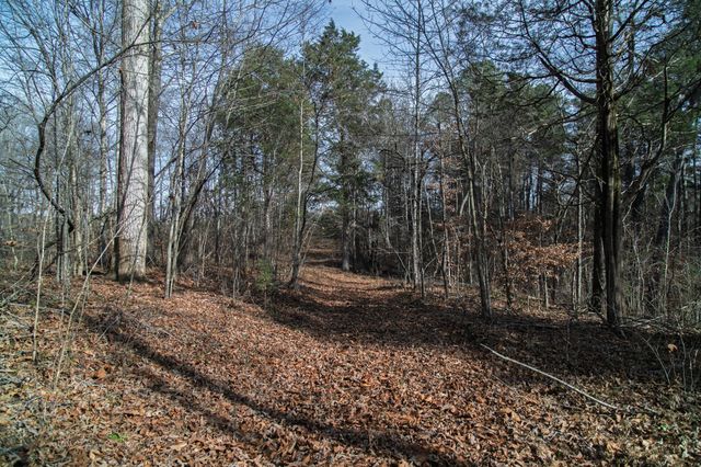 10001 Davis Branch Rd, Bon Aqua, TN 37025